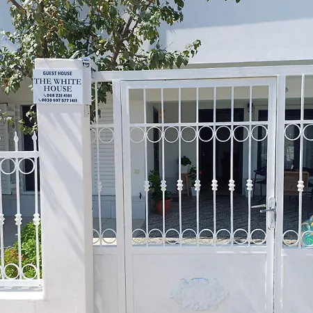 The White House Divjake